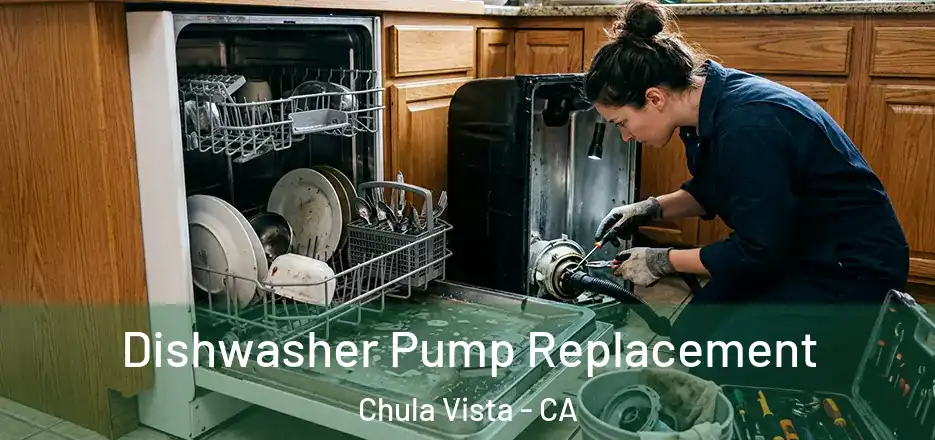 Dishwasher Pump Replacement Chula Vista - CA