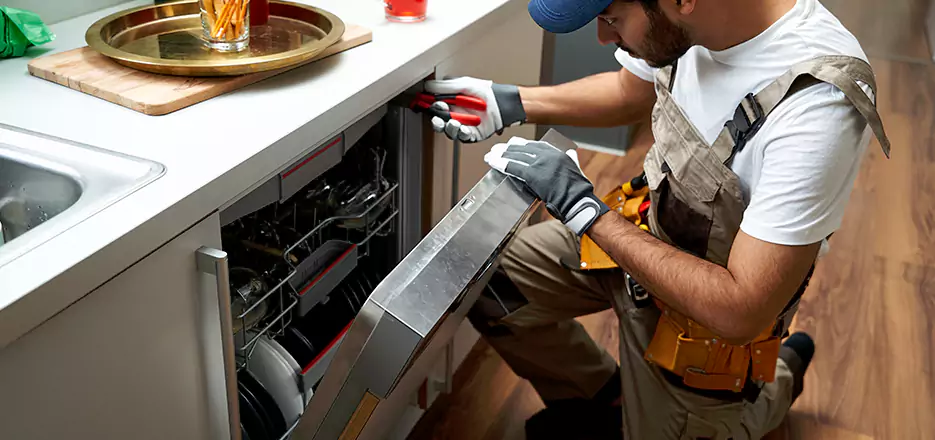 Same Day Dishwasher Not Draining Repair in Chula Vista